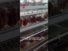 سیستم قفس باتری پریمیوم و لوکس انبار نیجریه برای مرغ های شنی لایه ای