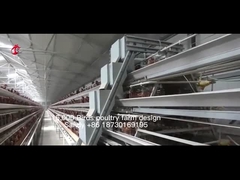 تجهیزات قفس مرغ تمام اتوماتیک برای مرغداری شنی با ظرفیت 20000