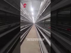 H Type Modern 25000 Birds Automatic Chicken Cage Emily