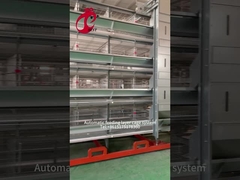 تجهیزات مرغداری لایه ای قفس مرغ 4 طبقه 2.40 متر * 2.60 متر * 2.0 متر رز