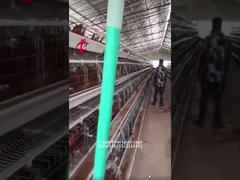 قفس باتری مرغ A یا H نوع 3 یا 4 برای مرغداری مرغداری دوریس