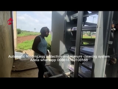 قفس باطری مرغ نوع لایه اتوماتیک تمام اتوماتیک برای مزرعه بزرگ Adela