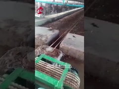 5000 پرنده در مزرعه مرغ از کود استفاده می‌کنند، ماشین Mia