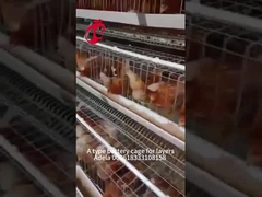 سیستم قفس لایه ای با انعطاف پذیری بالا فولاد کربن پایین گالوانیزه داغ در آفریقا آدل