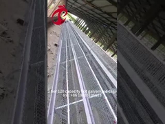 قفس لایه ای مرغ نیمه اتوماتیک 15000 پرنده قفس مرغ دستی در نیجریه ایرس