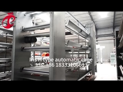 یک نوع H سیستم قفسه پرورش مرغ مرغ در بازار آفریقا