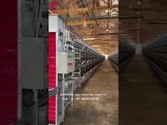 پروژه اتوماتيك باطري مرغ 3 طبقه 450 سانتي متر مربع ستاره