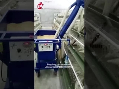 یک نوع و نوع H سفارشی سازی اندازه سبد غذای خودکار مرغ Adela