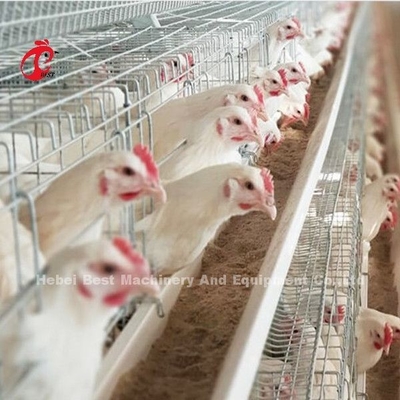سیستم قفس باتری مرغ تخمگذار 96 پرنده مرغ گوشتی مقاوم در برابر خوردگی امیلی
