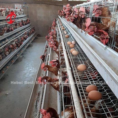 پرورش لایه استفاده از 2 ردیف باتری قفس مرغداری خانه شنی گالوانیزه داغ