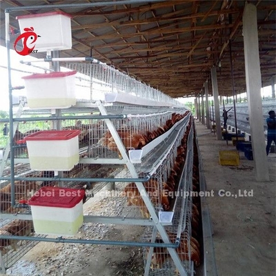 سیستم قفس باتری طیور 3.5 میلی متری 3 ردیف 4 ردیف 20 سال طول عمر در نیجریه آدا