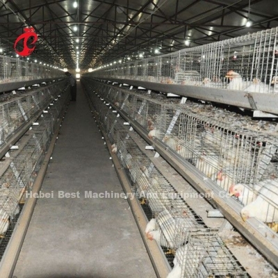 سيستم قفس گوشت گوشتي نوع A يا H کاملاً اتوماتيك قفس مرغ