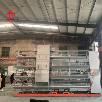 4 Tier H نوع Chick Brooder Cage Pullet Chicks Cage System Doris Shi