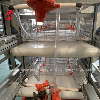 4 Tier H نوع Chick Brooder Cage Pullet Chicks Cage System Doris Shi