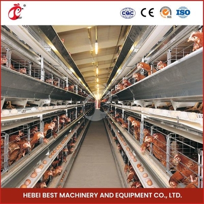 H Type 30000 Birds قفس مرغ لایه لایه اتوماتیک با تسمه نقاله کود آدا
