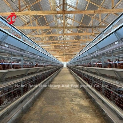 قفس باتری طیور ظرفیت 120 پرنده اتوماتیک A یا H مزرعه دوریس