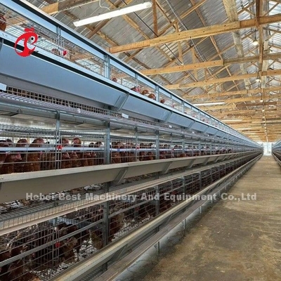 120-200 مرغ ظرفیت لایه باتری قفس سیستم برای 500 تا 50000 مرغ مزرعه دوریس