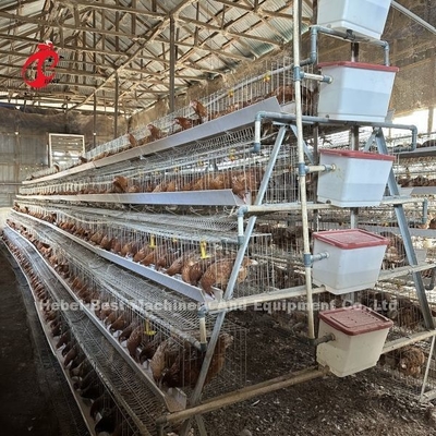 سيستم قفس گالوانيزه شده گرم 25 سال طول عمر پرورش مرغ ايميلي وانگ