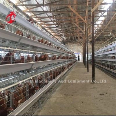 3 طبقه 40 سانتی متر ارتفاع سلول لایه باتری قفس سیستم برای بهبود سطح بهره وری Iris