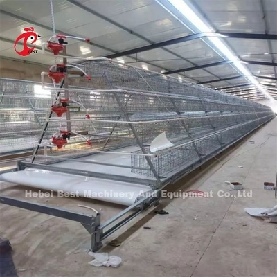 نوع H اتوماتیک نوع H قفس جوجه فرنگی نصب ویدئویی بازرسی خروجی ارائه شده گل رز