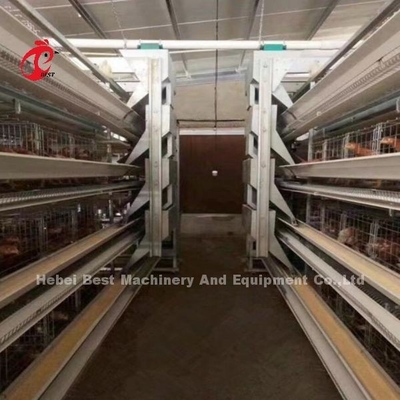 سیستم قفس باتری اتوماتیک H Frame برای 30000 پرنده مزرعه مرغ