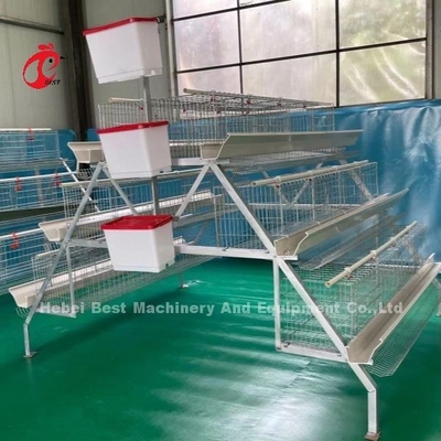 3 Tier 120 پرندگان و 4 Tier 160 پرندگان لایه باتری قفس سیستم برای اوگاندا تانزانیا مزرعه مرغ Sandy