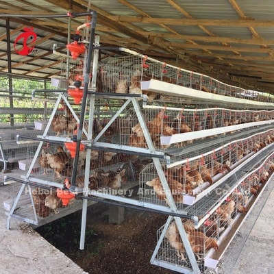 3 Tier 120 پرندگان و 4 Tier 160 پرندگان لایه باتری قفس سیستم برای اوگاندا تانزانیا مزرعه مرغ Sandy