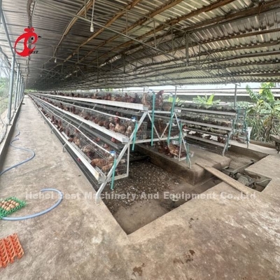 سیستم قفس باتری لایه 3 یا 4 برای 500-1000 پرنده