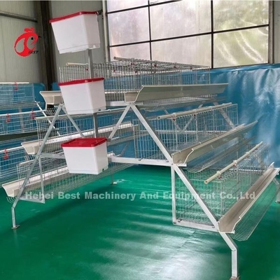 سیستم قفس پرورش مرغ پیشرفته با آب آشامیدنی های خودکار