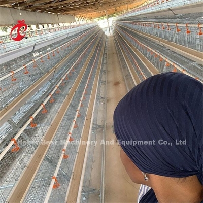 دستی A Frame Layer Battery Cage System Semi Automatic Emily
