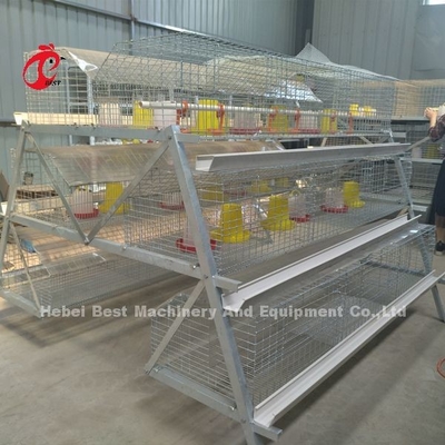 مرغداری ممتاز A Type Pullet مرغ Cage Battery مرغ Brooding Cage Iris