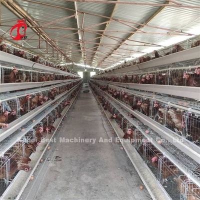 نوع دستی تخم گذاری مرغ قفس پرنده ایمیلی