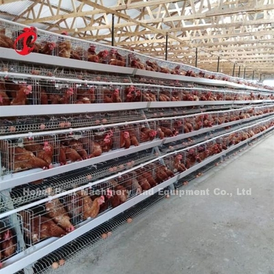 سیستم قفس باطری مرغ تخمگذار طراحی خانه چقرمگی با زنبق مشبک قفس