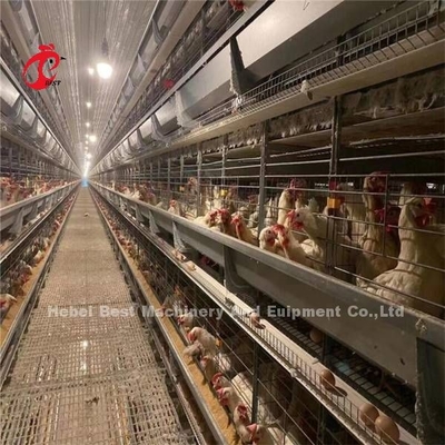 144 پرندگان ظرفیت نوع H قفس لایه ای برای مرغ های تجاری