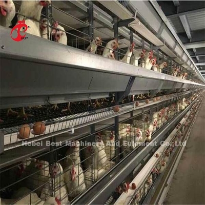 قفس باطری مرغ 3 4 طبقه اتوماتیک برای مرغ های تخمگذار Mia