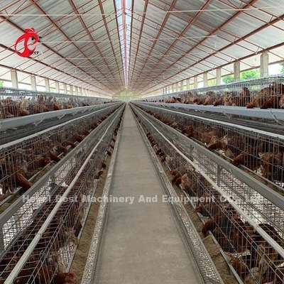 چین صادرات با کیفیت باتری مرغ گوشتی قفس مرغ اتوماتیک ستاره نیجریه