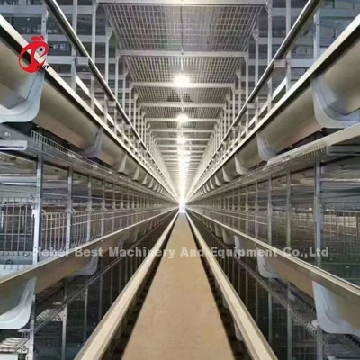 قفس باطری مرغ نوع لایه اتوماتیک تمام اتوماتیک برای مزرعه بزرگ Adela