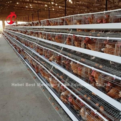 کاملا اتوماتیک 80-100kg سیستم قفس پرنده با درب کشویی