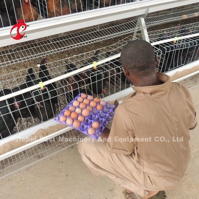 قفس باطری مرغ نوع 3 لایه 120 پرنده 450 سانتی متر مربع ستاره