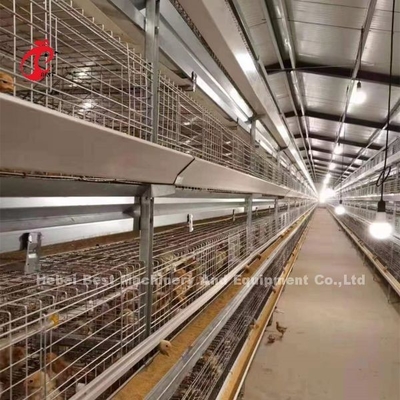 قفس مرغ گوشتی H Type CE , تجهیزات قفس تمام اتوماتیک جوجه های گوشتی Adela