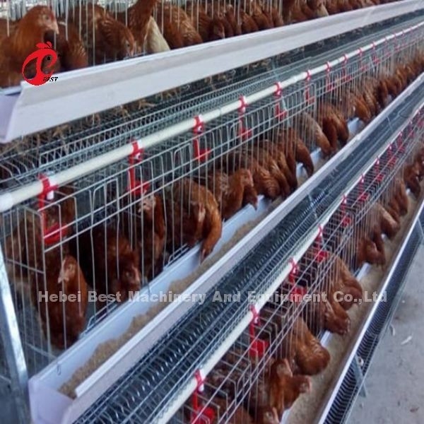 یک نوع 4 طبقه نقره لایه گالوانیزه باتری قفس سیستم Adela