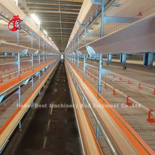 بهترین سیستم قفس باتری گالوانیزه 3 طبقه 96 پرنده در کنیا مزرعه میا