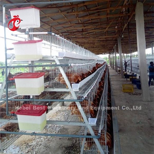 سیستم قفس باتری طیور 3.5 میلی متری 3 ردیف 4 ردیف 20 سال طول عمر در نیجریه آدا