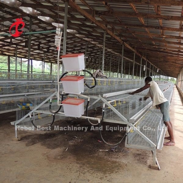 قفس پرورش جوجه CE A Type 120 Birds with Drinkers and Feeders Star