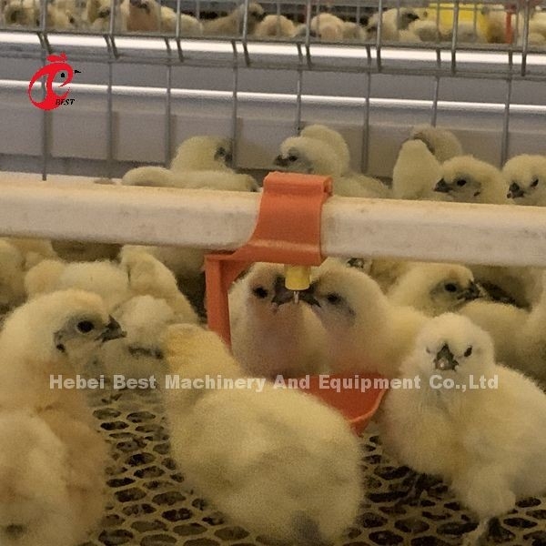 قفس تخم گذار مرغ های عملی 380 ولت برای یک روز
