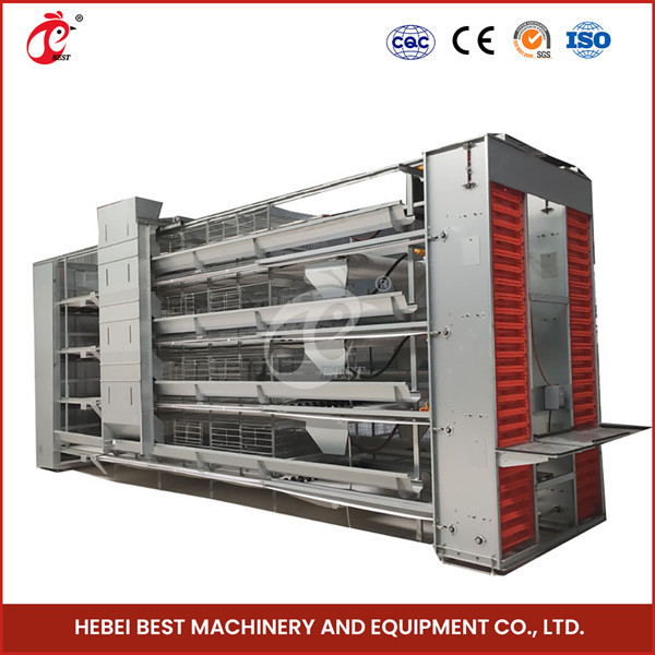 3/4/5/6 Tiers Automatic Chicken Battery Cage Equipment H Type For Layers Farm Emily