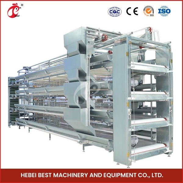 H Type 30000 Birds قفس مرغ لایه لایه اتوماتیک با تسمه نقاله کود آدا
