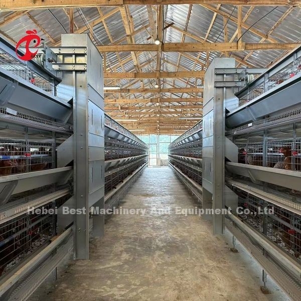 Stacked Poultry 128 Birds نوع باتری پرورش قفس Emily