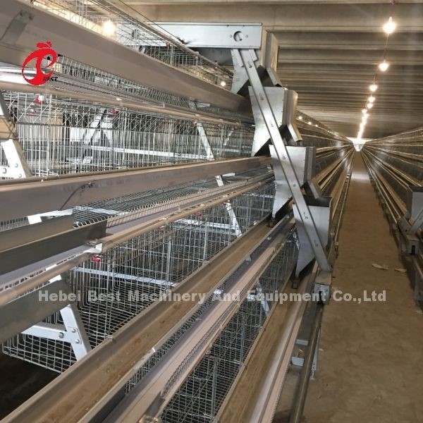 3/4/5 سیستم قفس باتری سطح برای لایه خودکار مرغ مرغزار ایرس