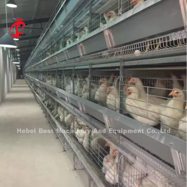 سیستم قفس باتری پرنده نسل جدید با طراحی اتوماتیک نوع H